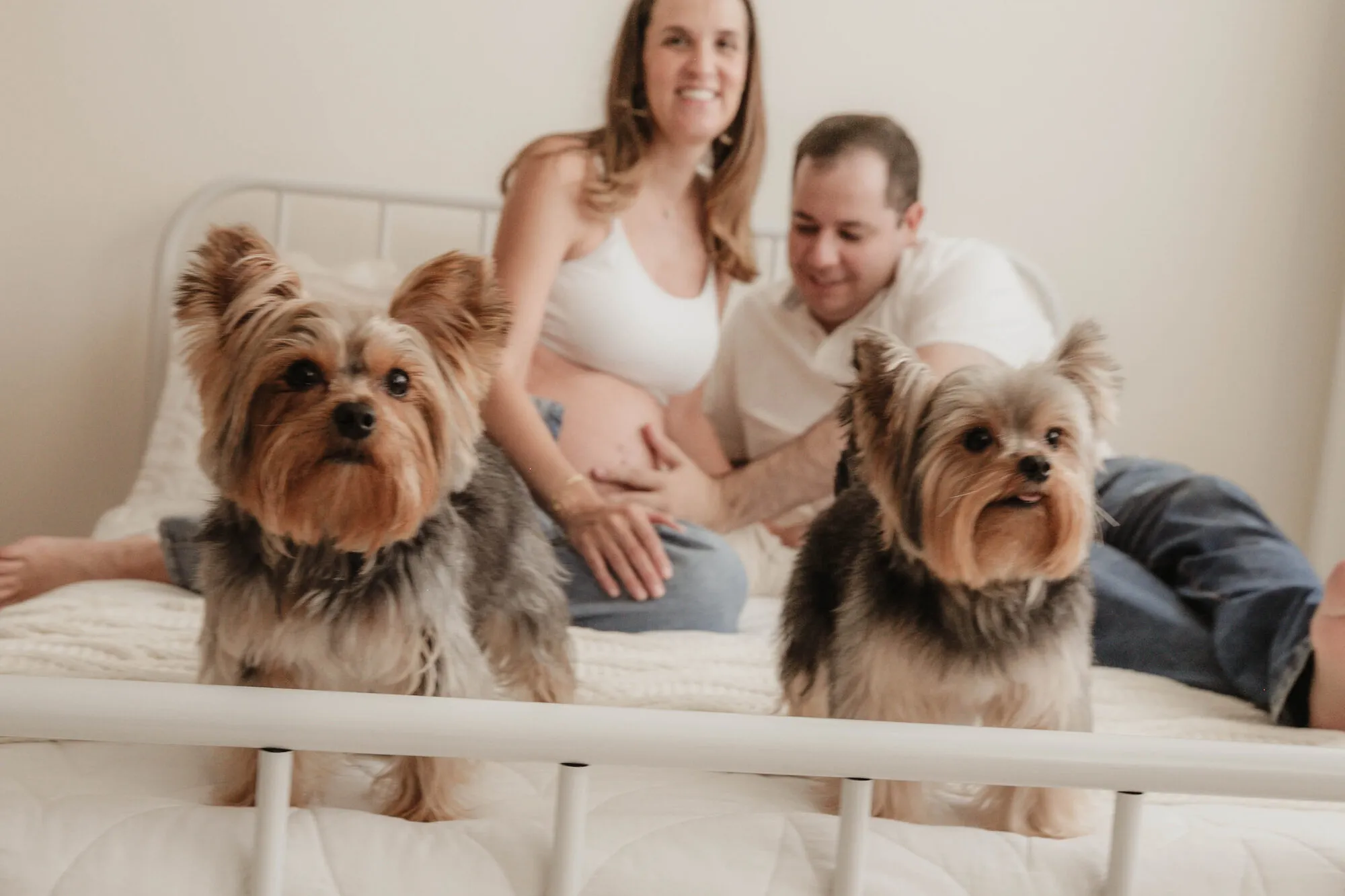 Casal grávido posando com os dois cachorros da família em ensaio gestante